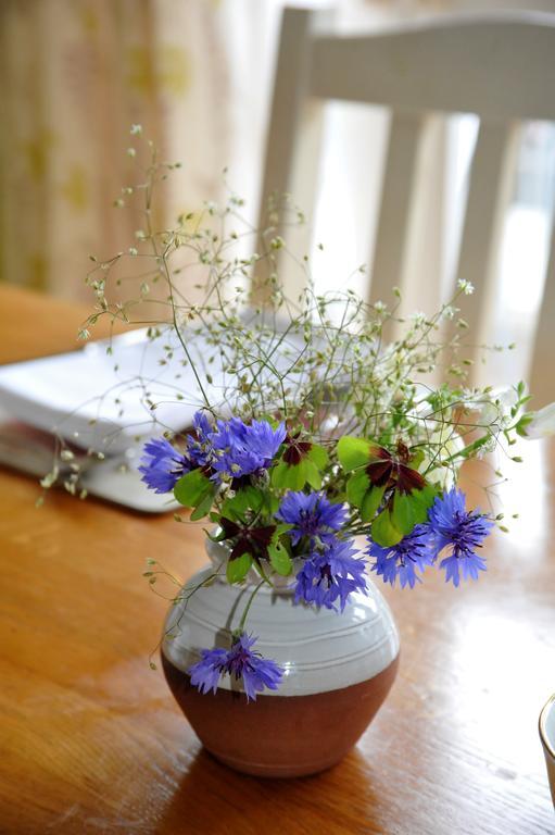 Wisteria House B&B Cloyne Esterno foto